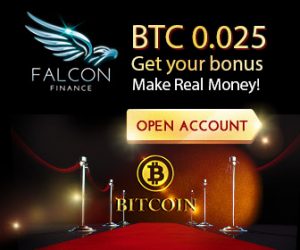 Falcon-Finance-binary-options-usa-customers-welcome